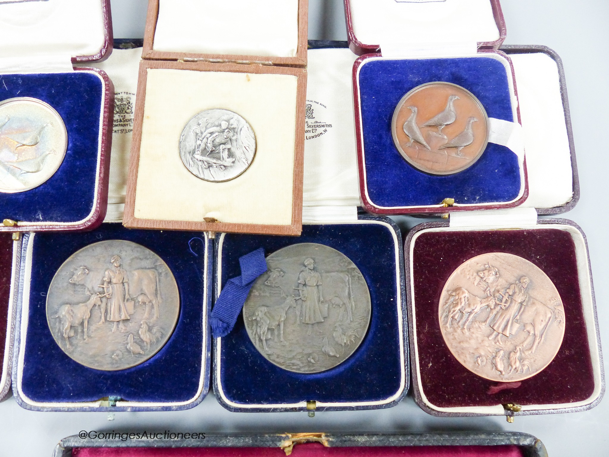 A collection of Dragoon Pigeon-related and other medals